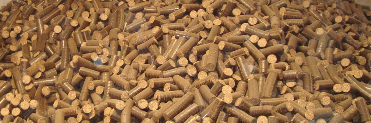 Agri-Biomass Briquettes